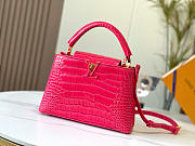 LOUIS VUITTON |  Capucines Cocodrilo Bolsas Rosa Precio Bolsos - 1