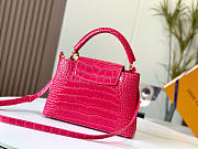 LOUIS VUITTON |  Capucines Cocodrilo Bolsas Rosa Precio Bolsos - 3