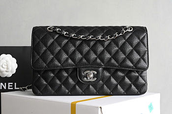 Chanel Classic Double Flap Bag Caviar Silver Black