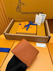 LOUIS VUITTON MULTIPLE AEROGRAM WALLET BROWN - 1