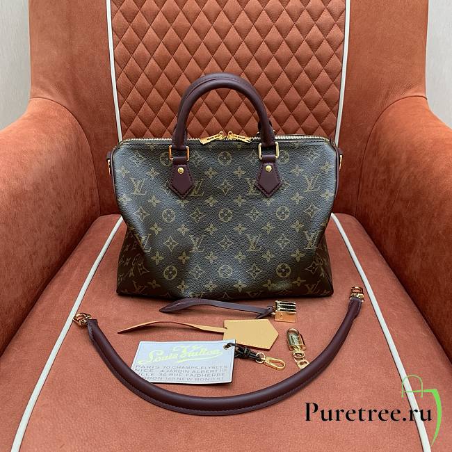 LOUIS VUITTON | Speedy 30 Soft Celebration M28379 - 1