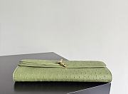 Bottega Veneta Andiamo Clutch Ostrich Leather 01 - 4