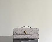 Bottega Veneta Andiamo Clutch Ostrich Leather 02 - 1