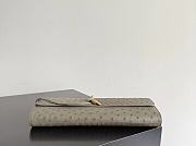 Bottega Veneta Andiamo Clutch Ostrich Leather 03 - 6