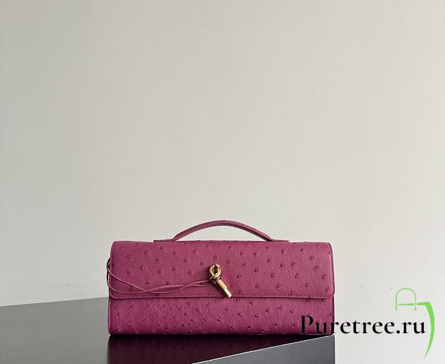 Bottega Veneta Andiamo Clutch Ostrich Leather 04 - 1