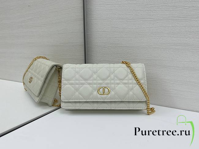 DIOR | Caro Pouch with Chain In White - 1