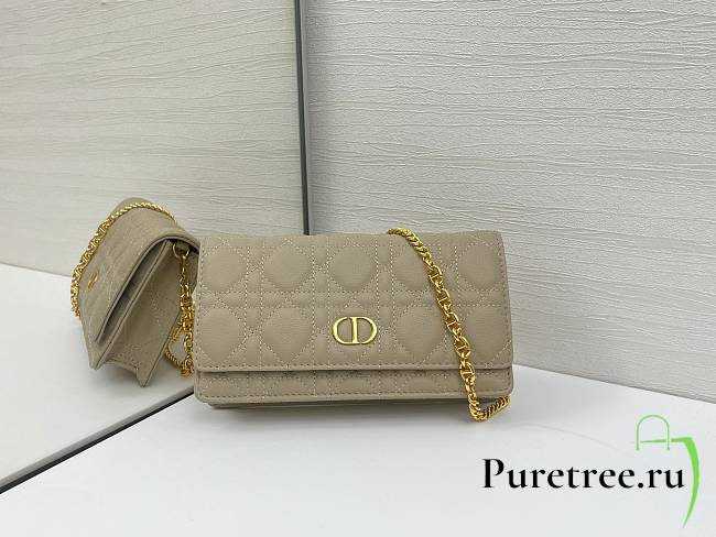 DIOR | Caro Pouch with Chain In Beige - 1