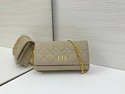 DIOR | Caro Pouch with Chain In Beige - 1