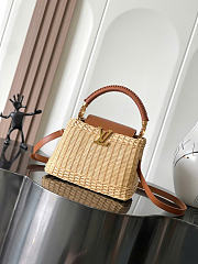 LOUIS VUITTON | Capucines BB bag in Color Tan Brown  - 1