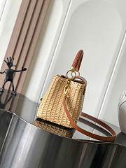 LOUIS VUITTON | Capucines BB bag in Color Tan Brown  - 6