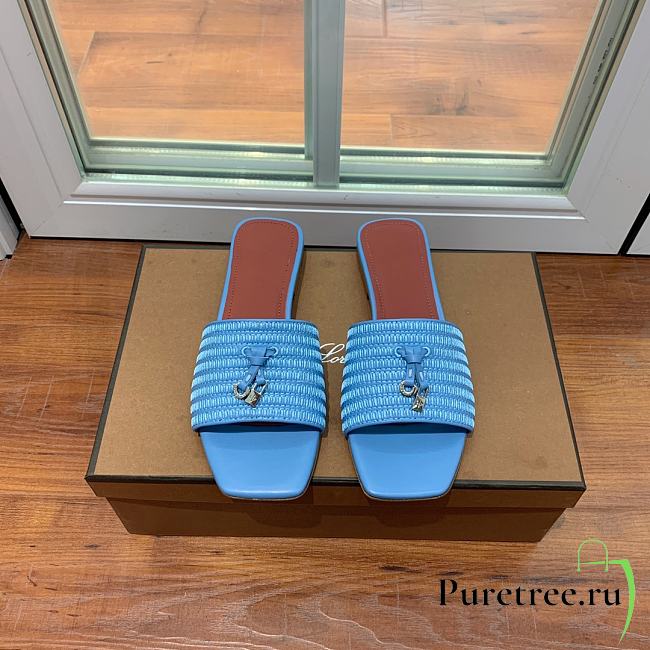 Loro Piana Womens Woven Stripe Cowhide Loafers Sandals Blue - 1