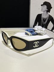 CHANEL | Panda-themed sunglasses brown CH6056 - 2