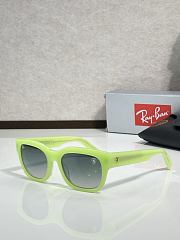 Rayban Sunglasses RB 2228 - 4