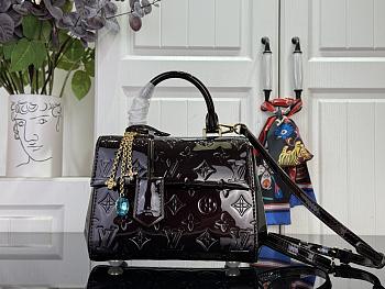 LOUIS VUITTON | Cluny Mini Varnished cowhide leather Datewood