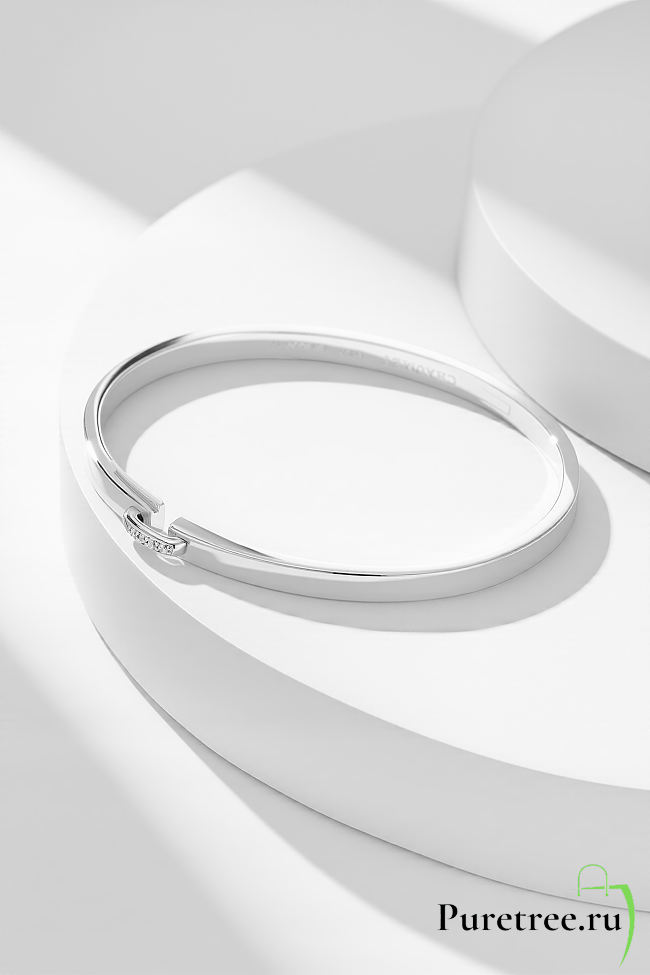 Chaumet Bracelet Liens Evidence Silver - 1