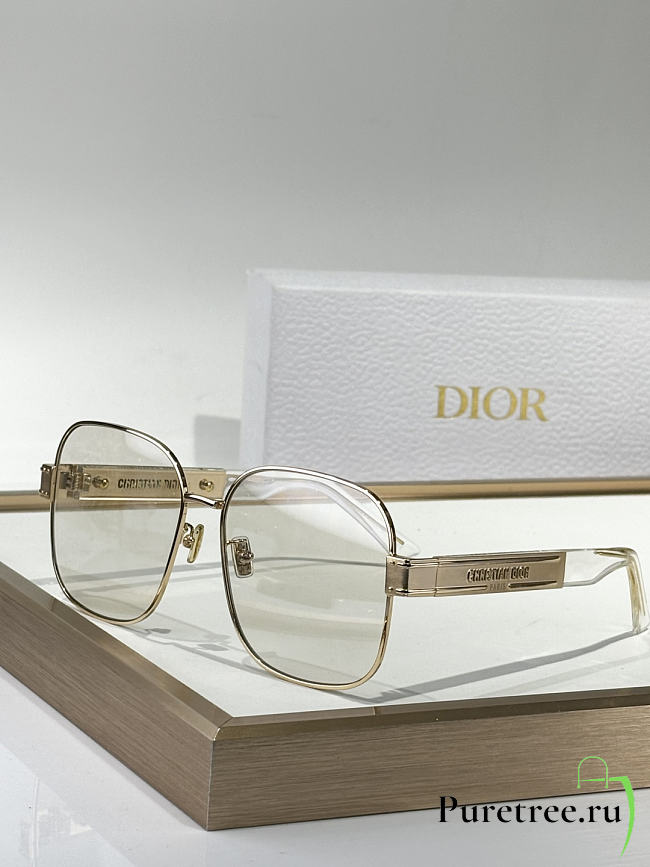 DIOR | Signature Sunglasses  - 1