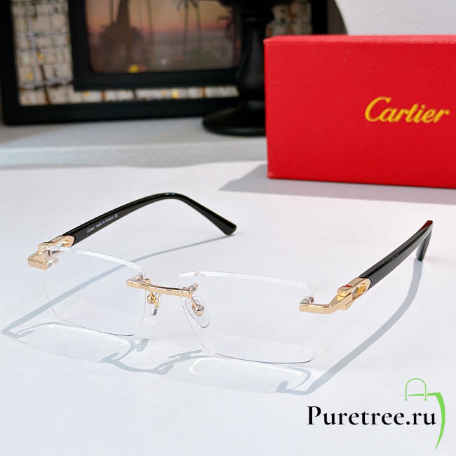 CARTIER | Sunglasses CT0582S - 1