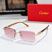CARTIER | Sunglasses CT0582S - 5
