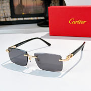 CARTIER | Sunglasses CT0582S - 3