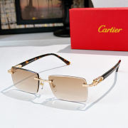 CARTIER | Sunglasses CT0582S - 2