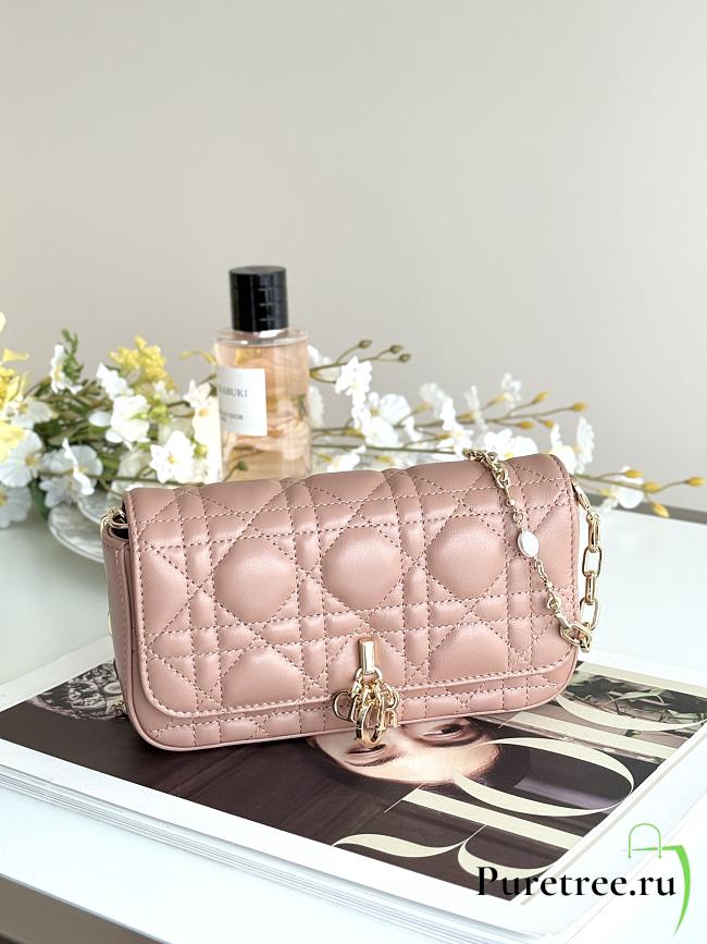 DIOR | Talk Phone Pouch In Dusty Pink - 1