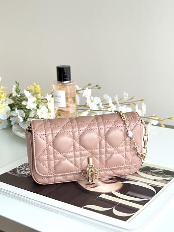 DIOR | Talk Phone Pouch In Dusty Pink