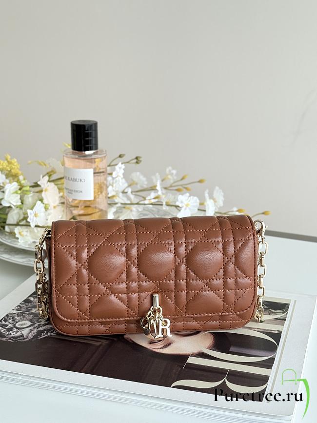 DIOR | Talk Phone Pouch In Caramel brow - 1