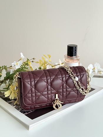 DIOR | Talk Phone Pouch In Burgundy