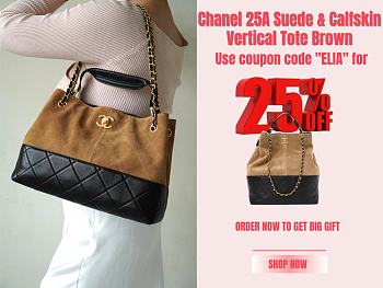 Chanel 25A Suede & Calfskin Vertical Tote Brown