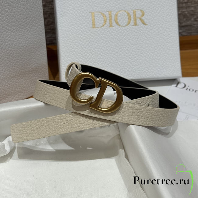 DIOR | 2cm Saddle Women's Belt Gold/White - 1