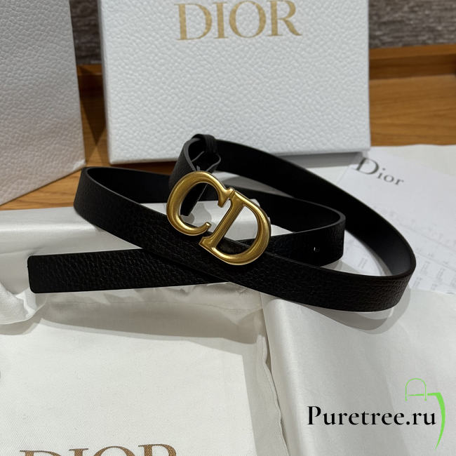 DIOR | 2cm Saddle Women's Belt Gold/Black - 1
