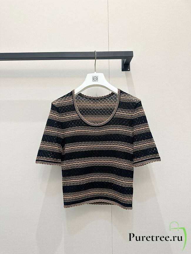 LOEWE x Paula's Ibiza Stripe Short-Sleeve Sweater - 1