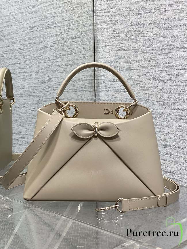 DIOR | Small Cigale Bag Myosotis Beige - 1