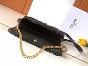 CELINE | Multipochette In Raffia Bag In Black - 6