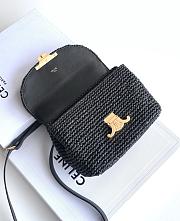 CELINE | Teen Nino Bag In Raffia And Calfskin Black - 5