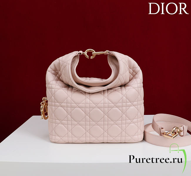 DIOR | De Sol Hobo Bag Leather Pink - 1