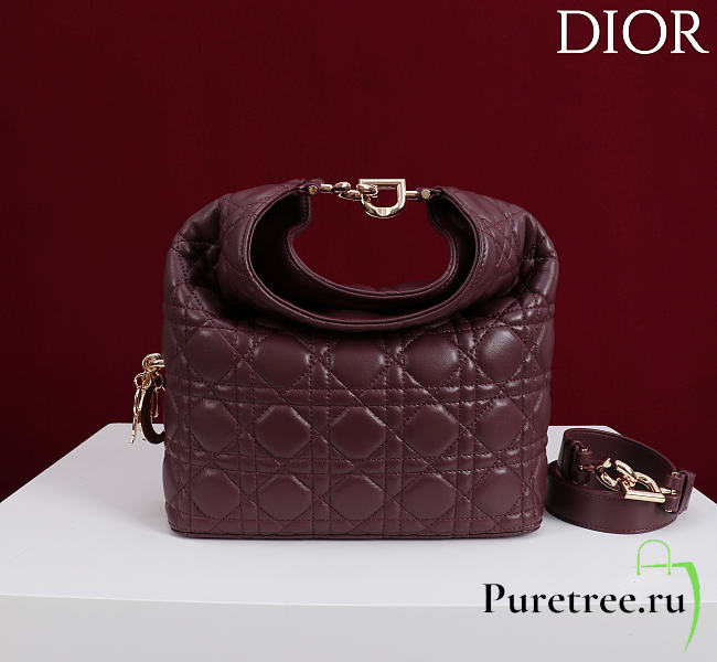 DIOR | De Sol Hobo Bag Leather Burgundy - 1