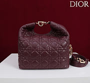 DIOR | De Sol Hobo Bag Leather Burgundy - 6