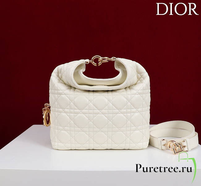 DIOR | De Sol Hobo Bag Leather White - 1
