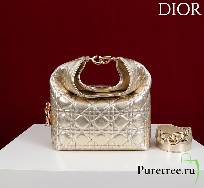 DIOR | De Sol Hobo Bag Leather Metallic Gold-Tone - 1