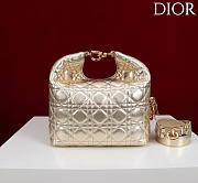DIOR | De Sol Hobo Bag Leather Metallic Gold-Tone - 3