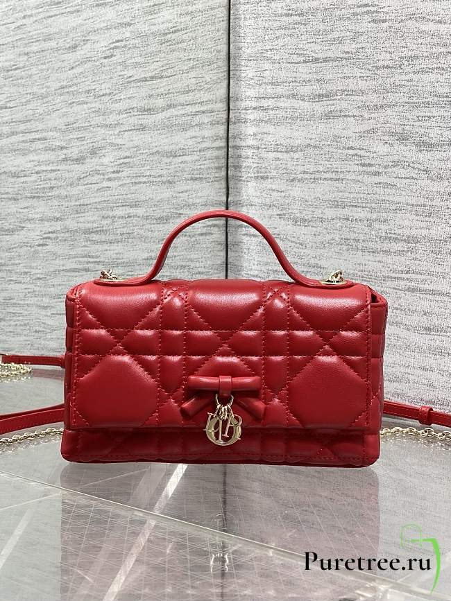 DIOR | My Dior Mini Bag Cannage Lambskin Gold Hardware In Red - 1