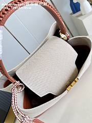 LOUIS VUITTON | Large Capucines Souple Bag - 5