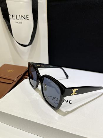 CELINE | Triomphe CL40222F Black