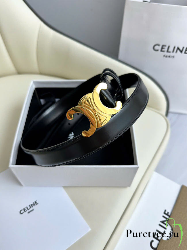 CELINE | Triomphe Belt In Smooth Calfskin With Gold Finish 2.5 cm - 1