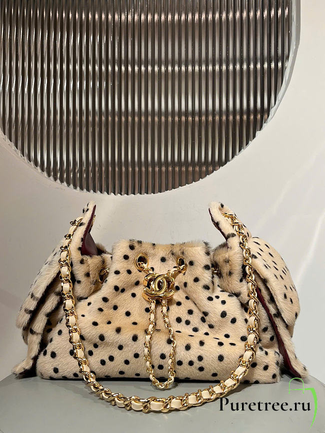 CHANEL | 25 Métiers d'Art 2026 Mini Bag Light Beige & Black - 1