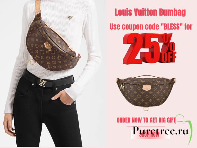 Louis Vuitton Bumbag Monogram | M43644 - 1