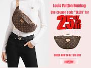 Louis Vuitton Bumbag Monogram | M43644 - 1