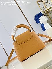 LOUIS VUITTON | Sunbeam Capucines Mini Bag In Brown - 2