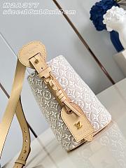 LOUIS VUITTON | All In BB Bag Monogram Emblème Peuplier M2A377 - 2